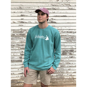 Young male wearing a tropical timid teal sweatshirt with the Kayak design by Chillwater.