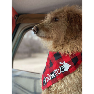 A beautiful dog sitting in the passenger seat wearing a Kayak design dog bandana by Chillwater Apparel.